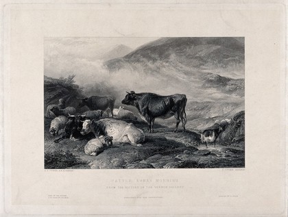 Cows and sheep by an upland stream with a goat standing in the water. Engraving by J. Cousen after T. S. Cooper.