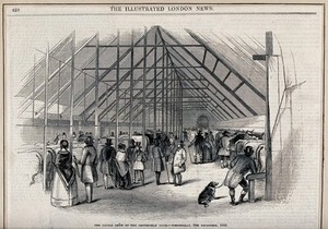 view Visitors looking at animals in the cattle show of the Smithfield Club. Wood engraving, 1842.