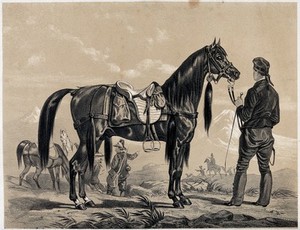 view A soldier is holding a thoroughbred arab horse by its reins. Lithograph.