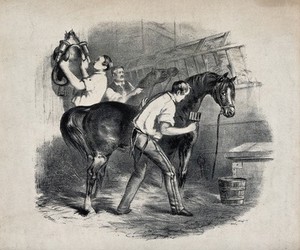 view Three grooms taking care of horses and the stable. Lithograph.