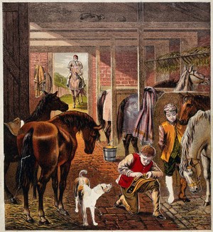 view A stable where young stablemates take care of the horses and their headgear and bridle. Colour lithograph with paper cutouts.