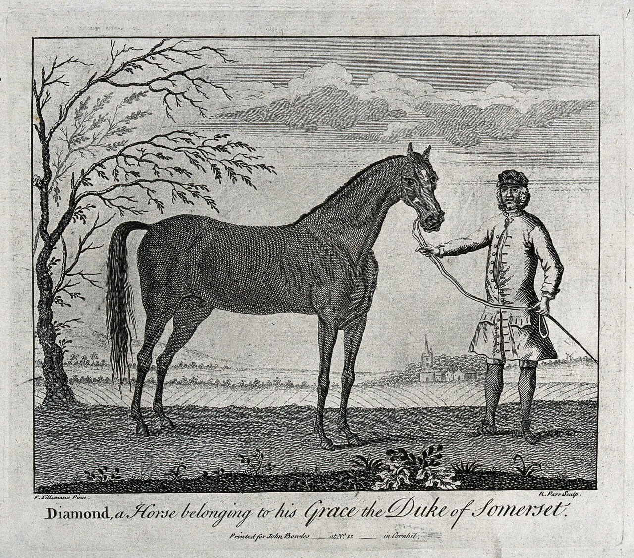 A groom holding a stallion by its reins. Etching by R. Parr after P. Tillemans., by Peter Tillemans