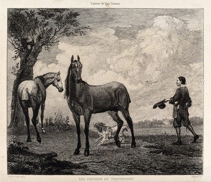 A man is holding his hat in his hand and hides a rope behind his back while he approaches two horses on a field. Etching by G. Greux after P. Potter.