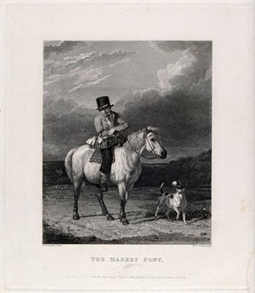 A young man with a black top hat is riding a pony and holding a basket with fruit and fowl. Etching with line engraving by W. R. Smith after T. Woodward.