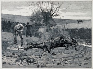 view A horse has been killed after jumping a hurdle in a steeplechase: the jockey holding a whip looks at it with concern. Wood engraving by E. Froment, 1874 after W. Small.