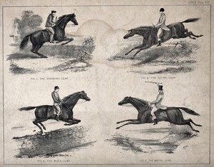 view Horses and riders showing four different leaps in a steeplechase. Lithograph.
