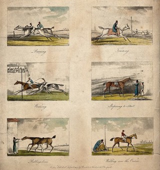 Six stages of a horse race, including running, training, winning, preparing to start, rubbing down and walking over the course. Coloured lithograph.