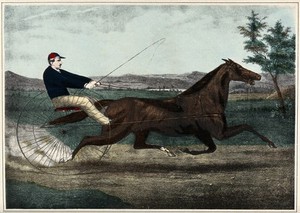 view A brown mare pulling a cart with a jockey in a blue sweater. Coloured lithograph.