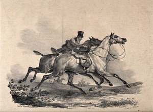 view A gentleman on a horse is trying to grasp the reins of another horse while both horses are galloping. Lithograph by A. C. H. Vernet.