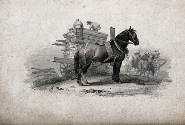 A draught-horse standing in front of a cart being laden with wood by two men. Etching with line engraving.