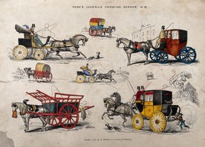 view Seven different horse-drawn carts, coaches and carriages. Coloured lithograph.