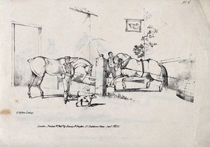 view A draught-horse is pulling a barrel in a court yard of a public house, while another horse is fed at the trough. Lithograph by G. Alken.