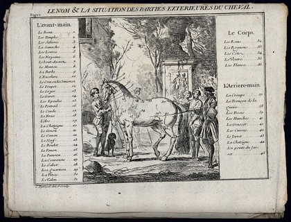 A groom is holding a horse by its reins while a man man with a stick is pointing out parts of the horse's anatomy to onlooking students in a park. Etching by C. Parrocel.