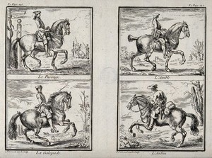 view Four different paces and figures of the old school of horsemanship and riding, including the passage, amble and galop. Etching by C. Parrocel.
