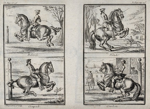 Four different leaps performed by horses with riders, including a curvet. Etching by C. Parrocel.
