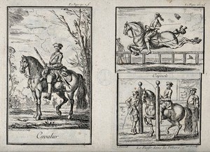 view Gentlemen on horses performing three different gaits, including a capriole and a piaffe. Etching by C. Parrocel.