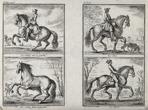 A horseman showing three different gaits with his horse, including the gallop, the pas and the trot and a horse galloping alone. Etching by C. Parrocel.