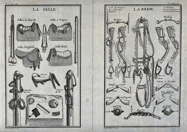 Left, a variety of saddles, harnesses and grooming equipment; right, a variety of headgears, bridles, snaffles and clasps. Engraving by G. Dheulland.