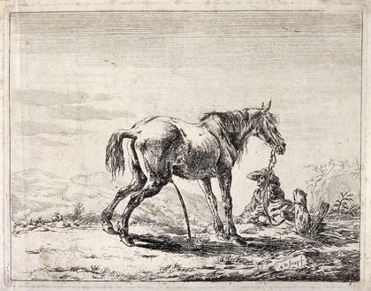 A man with a large brimmed hat is resting next to his urinating horse. Etching by D. Stoop.