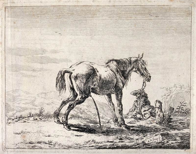 A man with a large brimmed hat is resting next to his urinating horse. Etching by D. Stoop., by Dirk Stoop