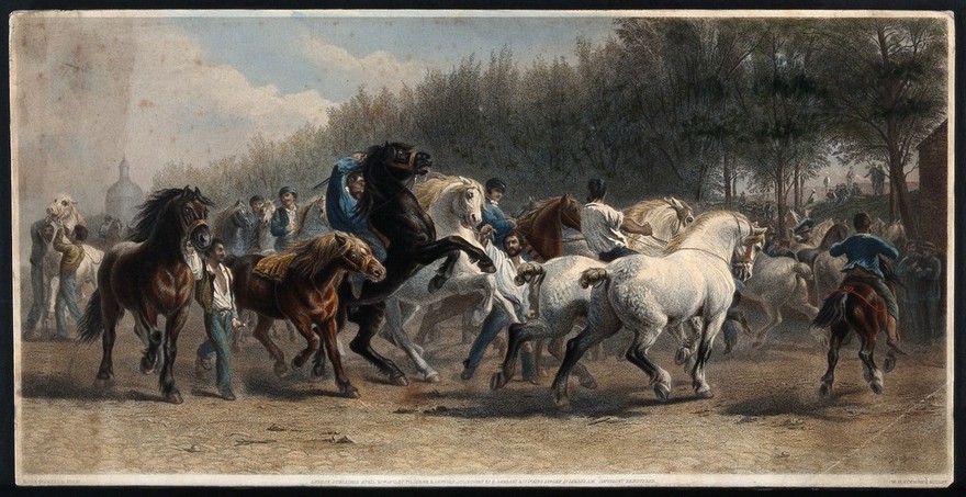 Horsemen leading a large number of horses in a ring for sale at a horse fair. Coloured lithograph, 1871, by W. H. Simmons after R. Bonheur.