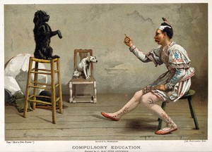 view A man in an acrobat's outfit teaches a dog a trick while another dog looks on. Colour line block after C. MacIver Grierson.