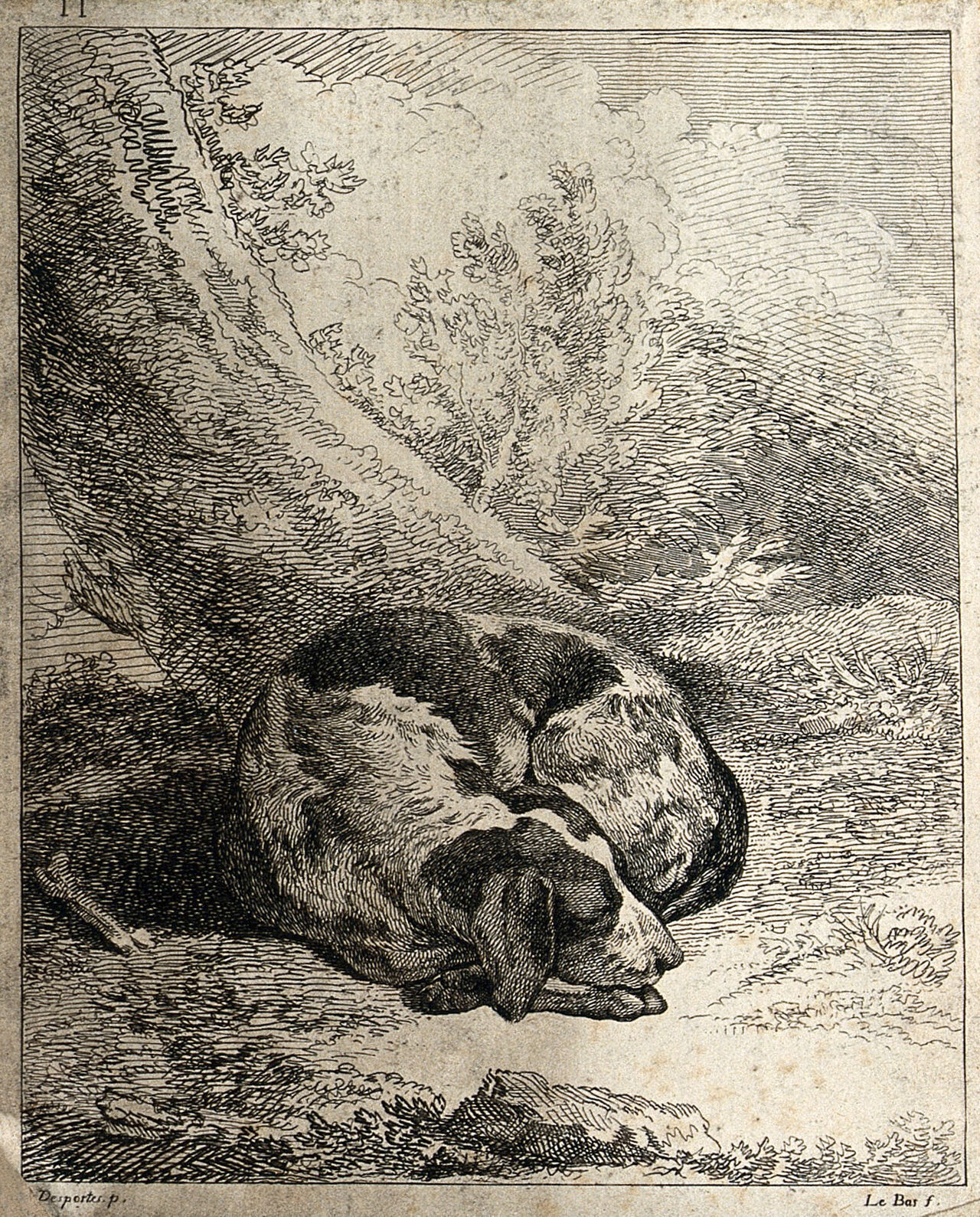 A dog curled up and asleep under a tree. Etching by J.P. Le Bas after A.F. Desportes., 1745-1747, by Alexandre-François Desportes
