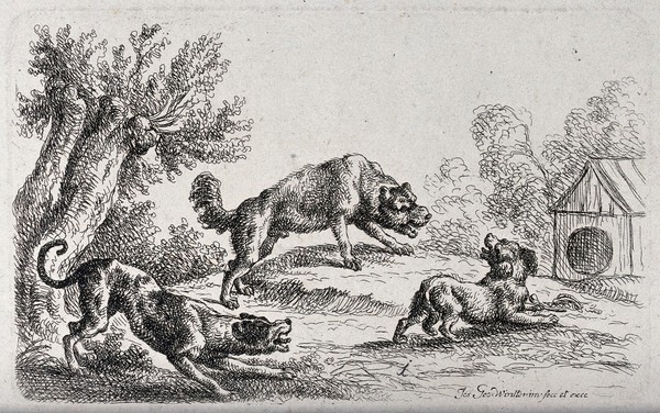 Two large dogs growling and barking at a small dog with a bone outside its kennel. Etching by J. G. Winter.