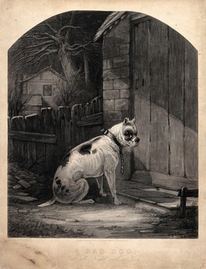 view A dog sitting outside a locked door. Mezzotint by Huffam, 1847, after A. Crowquill.