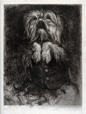 A dog in a buttoned waistcoat standing on its hind legs raising its paws. Etching by L.N. Lepic.