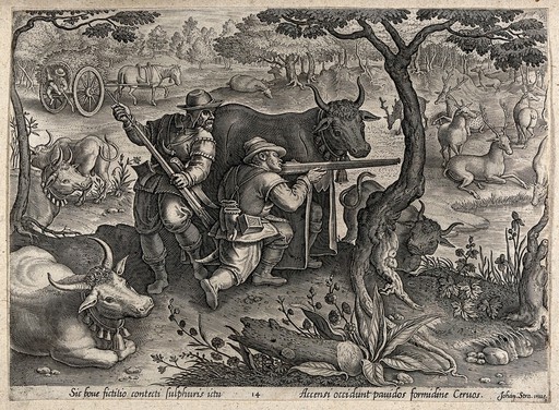 Huntsmen hiding behind cattle and horse carts to avoid being seen by the deer they are aiming at. Engraving by J. van der Straet.
