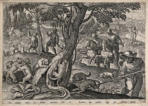 view Huntsmen killing polecats by spearing them with long pikes on the trees or by setting the dogs on them. Etching by J. van der Straet.