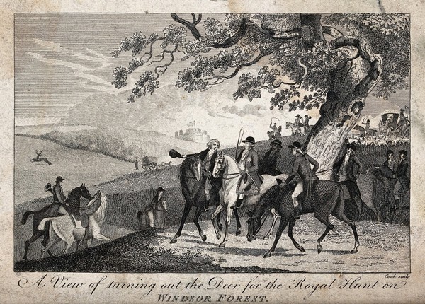 Mounted gentlemen and their hounds on a deer hunt in a forest. Etching by Cook.