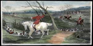 view A pack of dogs has hunted down a fox and is about to kill it. Coloured line block after an engraving by C. Tomkins after W. J. Shayer.