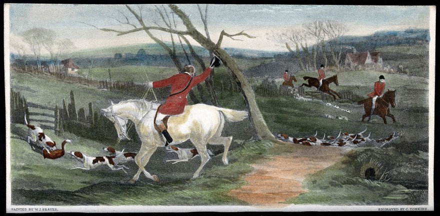 A pack of dogs has hunted down a fox and is about to kill it. Coloured line block after an engraving by C. Tomkins after W. J. Shayer.