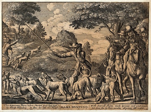 Hunting dogs chasing a hare up a narrow path, urged on by their keepers and mounted huntsmen. Etching by W. Hollar after F. Barlow.