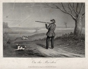 view A man points his gun at a bird in the air while his dogs are avid to fetch the prey. Steel engraving by Harris, 18--.