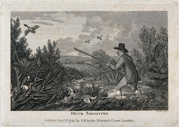 A man and his dogs wade through a shallow lake trying to shoot ducks. Wood engraving by J. Scott.