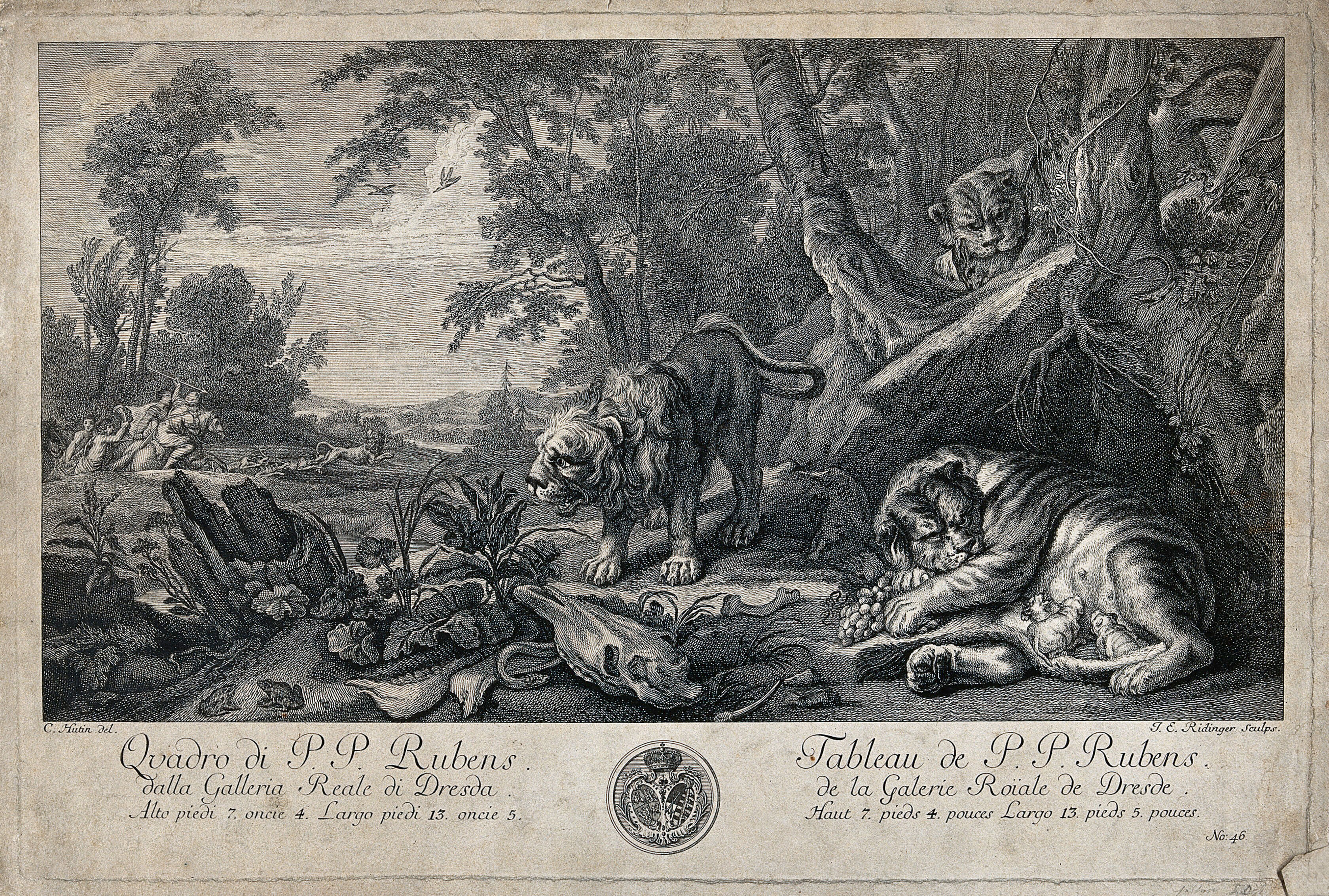 A Lioness Suckling Her Kitten In The Safety Of Her Lair Surrounded By Two Lions Anxiously Watching A Lion Hunt In The Far Distance Etching By J E Ridinger After C F