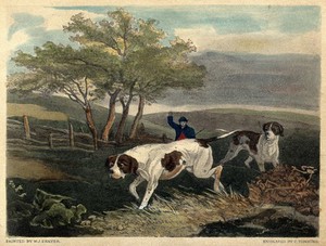 view A shepherd waving at his two dogs. Coloured line block after an engraving by C. Tomkins after W. J. Shayer.