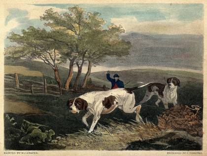 A shepherd waving at his two dogs. Coloured line block after an engraving by C. Tomkins after W. J. Shayer.