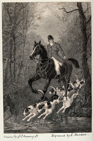 view A mounted huntsmen follows his hounds to a small stream in a wood. Etching by E. Hacker after J. F. Herring.