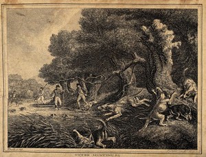 view Hounds chasing otters into the reach of men holding spears in a river. Etching by W. S. Howitt.