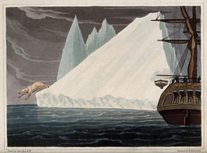 view A polar bear plunges into the sea from a very steep iceberg while fishermen look on from a nearby trawler. Coloured engraving by R. Havell after J. Ross.