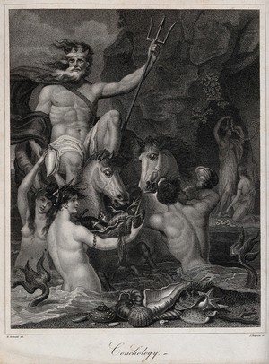 view Neptune surrounded by Triton and sea-nymphs is presented with the fruits of the sea; representing conchology. Stipple engraving by J. Chapman after R. Corbould.