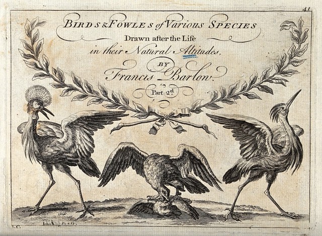 A title page illustrated with a grebe, an eagle and a heron. Engraving, ca. 1690, after F. Barlow.