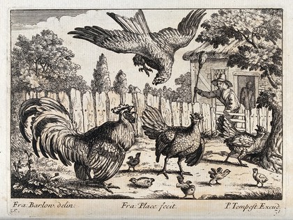 An eagle swooping for some chicks and being attacked by a cockerel and a farmer waving a broom. Engraving by F. Place, ca. 1690, after F. Barlow.