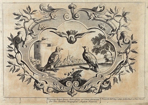 Three doves with a dovecote and church in the distance, all surrounded by bay tree branches entwined in an ornate border. Engraving by H. Terasson after F. Barlow.