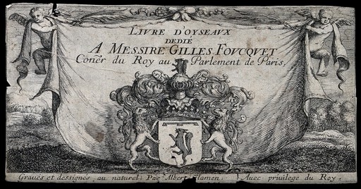 Title page to Livre d'Oyseaux adorned with two angels and an ornate coat of arms. Etching by A. Flamen, ca. 1659.