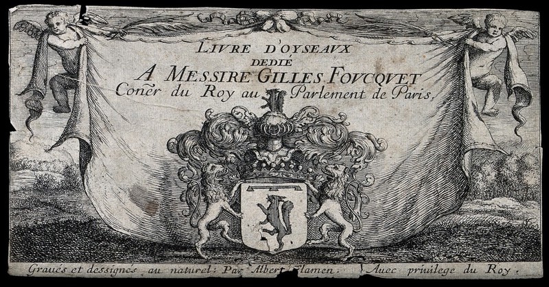 Two angels support the backdrop to the coat of arms of Gilles Foucquet; title page to Livre d'oyseaux. Etching by A. Flamen, ca. 1659., 1659, by Albert Flamen